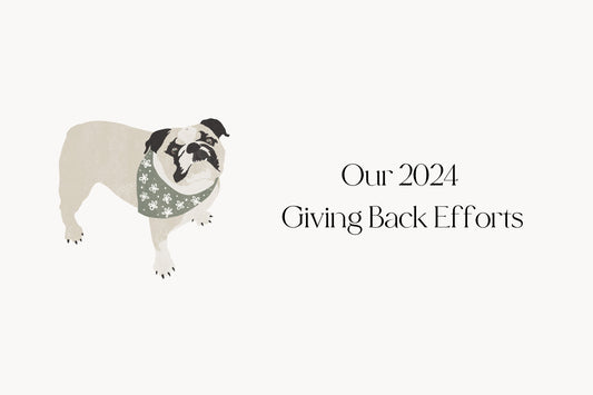 Giving Back to Impactful Organizations